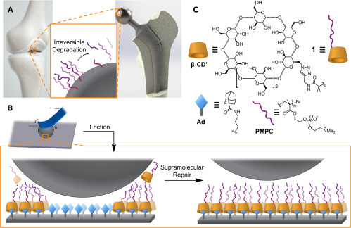 An image describing part of the research in Chem article by McGonigal